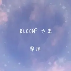 専用ページ