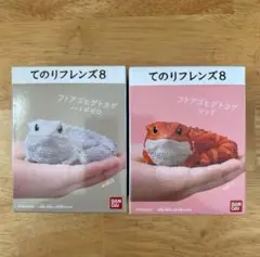 てのりフレンズ8 フトアゴヒゲトカゲ　ハイポゼロ・レッド