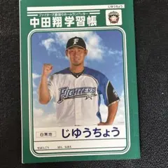 中田翔自由帳