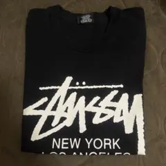 stussyTシャツ
