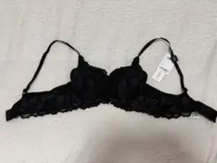 Item thumbnail for item 9c019291-8ade-4d07-a9d4-e2581764df98