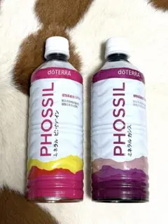 Item thumbnail for item e140a0dd-7188-4b8a-926b-0a299b172078