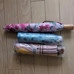 Item thumbnail for item 72bf5b39-e2d1-4a62-9e77-28b6bd64310f