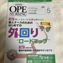 Item thumbnail for item 236f455a-e3d2-4376-9fed-1e76d35b7a29