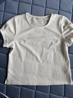 Item thumbnail for item 5e6626b9-ada9-43dd-b7e8-64cace814c0c