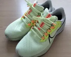 Item thumbnail for item be5e1228-8e34-4c4e-a447-b662700cf1e4