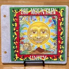 【状態良好】UNITY／BIG MOUNTAIN　ユニティ　ビッグ・マウンテン