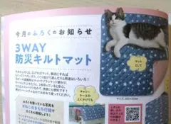Item thumbnail for item 5d15387f-cb44-460d-821c-1a86c93aaf65