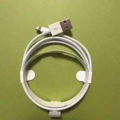[ 新品、未使用]iPhone Apple 純正ライトニング ケーブル タイプA