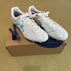 asics DS LIGHT GAIN ST WIDEホワイト/ブルー