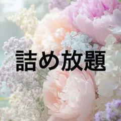 詰め放題③