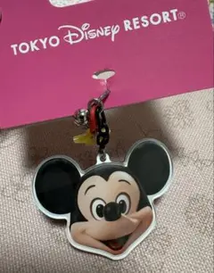 東京ディズニーリゾート ミッキーマウス イヤリング 実写旧フェイス　アクセサリー