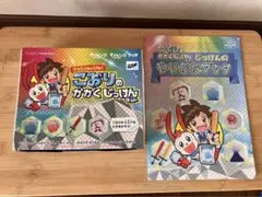 チャレンジ　こおりのかがくじっけんセット　科学