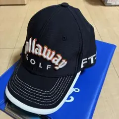 Item thumbnail for item 687e1940-d988-4af9-9680-863a7abacd43