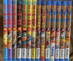 ボボボーボ・ボーボボ全巻21巻＋真説全巻7巻＋澤井啓夫短編集 計29冊