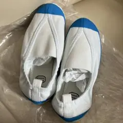 新品　未使用　学校　上履き　21㎝　上靴　ブルー　スクール