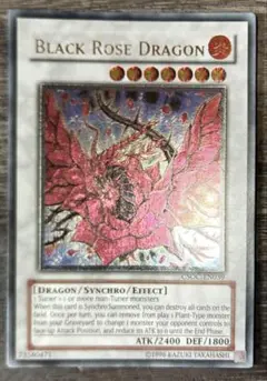 遊戯王 ブラック・ローズ・ドラゴン 英語 北米 ゴースト ホロ