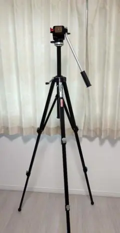 Item thumbnail for item ee4d50da-d599-4af4-8184-78cf02da78c0