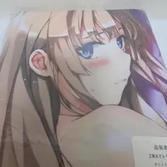 【新品未開封】冴えない彼女の育てかた 澤村スペンサー英梨々 等身大抱き枕カバー