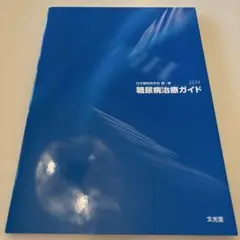 糖尿病治療ガイド　2024
