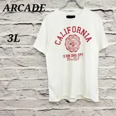 R5091 ARCADE【3L】 大きいサイズ 半袖Tシャツ 吸汗速乾 ホワイト