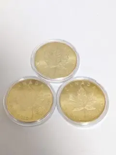 Item thumbnail for item d539ed54-2cbc-43fe-beb8-704caca2b270