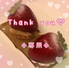 【専用出品】chibikuroman様ご確認用