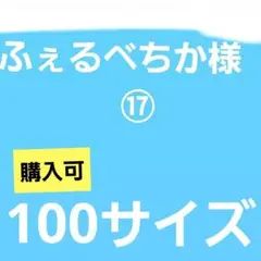 ふぇるべちか様　⑰　　100サイズ