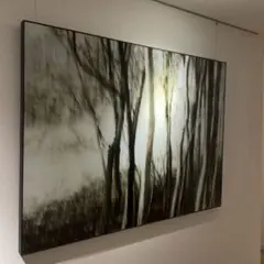 Bo Concept｜ガラスアート　ギャラリーグラスアート　「Forest」 Bo Concept｜ガラスアート ギャラリーグラスアート 「Forest