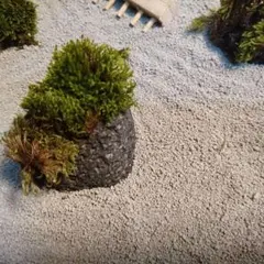 癒しの箱庭 枯山水庭園
