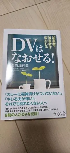 DVはなおせる! 加原加代美著