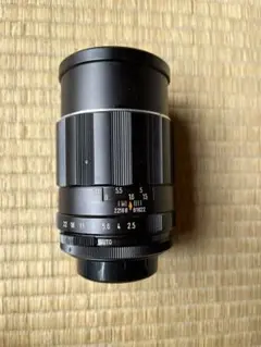 Item thumbnail for item cb78cbeb-6a59-4fa0-bdfd-1d2c34633829