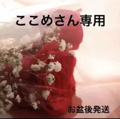 ここめさん専用