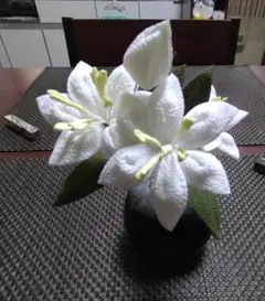 Item thumbnail for item 3061fa82-22db-42c1-9234-a83609f6f3bd