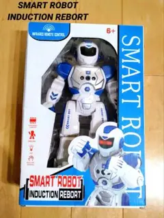 【ジャンク品】SMART ROBOT INDUCTION REBORT