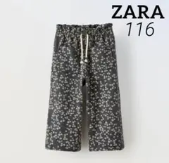 Item thumbnail for item d3929232-56df-4a48-9a3b-e02bec77573d