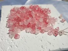10g 約200個 6×3mm 鈴蘭 赤 アクリル ビーズ 花 フラワー