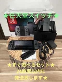 Nintendo Switch ニンテンドースイッチ本体　グレー①
