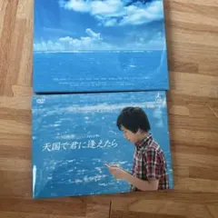 天国で君に逢えたら DVD