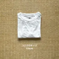 Item thumbnail for item 17afa1dc-d569-4a1c-9be2-e8d4ad8bd7bd