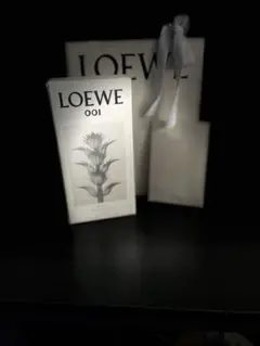 ✨値下げ可能✨LOEWE MAN オードゥパルファム 100ml