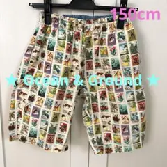ショートパンツ(Ocean & Ground)★おすすめ