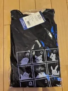 モンベル ご当地Tシャツ ウィックロン　東大雪荘限定 XL ブラック