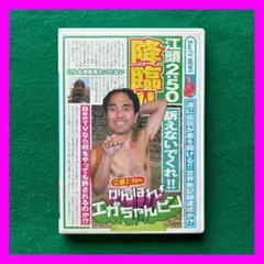送料無料 24時間以内発送 セル版DVD 江頭2:50出演 がんばれ！エガちゃん