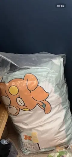 【2025】ピカピカボックス　初夢まくら　パモ