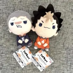 ハイキュー!! もちぴこぬいぐるみ4 西谷夕・田中龍之介　全2種セット