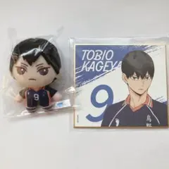 ハイキュー!! 影山飛雄 セガラッキーくじ B賞ぬいぐるみ10周年記念展 色紙
