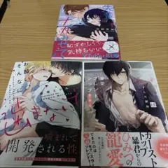 沖田有帆　参号ミツル　ずんだ餅粉　商業BL漫画 まとめ売り