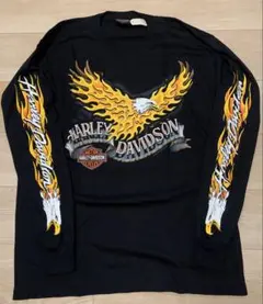 Item thumbnail for item 3b29752c-eab3-4e8c-8208-99e304714a4d