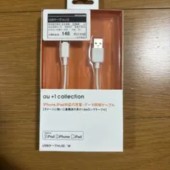 Lightningコネクタ　iPhone 14